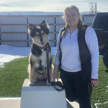 Sit Means Sit - Pet Training Near Me - Casper, Wyoming Sit Means Sit - Pet Training Near Me - Casper, Wyoming