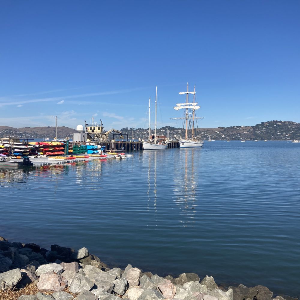 SeaTrek equipment (on the left) makes bay enjoyment simple. Single Kayaks, Double Kayaks, and SUPs for rent. SeaTrek equipment (on the left) makes bay enjoyment simple. Single Kayaks, Double Kayaks, and SUPs for rent.