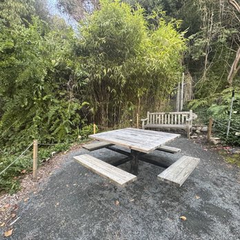 UC Botanical Garden at Berkeley - Beautiful setting here.  Great picture spot. - Botanical Gardens Near Me - Berkeley, California