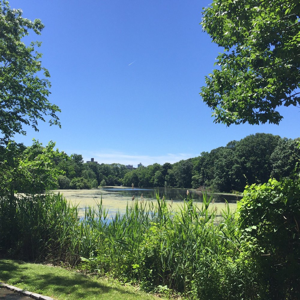 Van Cortlandt Park - Parks Near Me - Bronx, New York Van Cortlandt Park - Parks Near Me - Bronx, New York