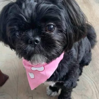 The Pet Ranch - Pet Sitting Near Me - Olathe, Kansas The Pet Ranch - Pet Sitting Near Me - Olathe, Kansas