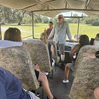 Giraffe Ranch - Educating us - Ranches Near Me - Dade City, Florida