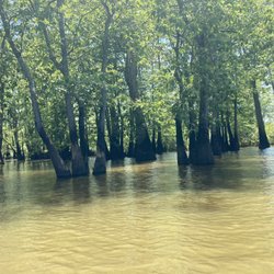 Cache Bayou Outfitters