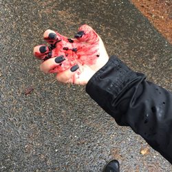 Rocky Creek Conservation Area - The blackberry's got the best of her hand!