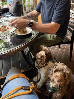 Sogno di Vino by null