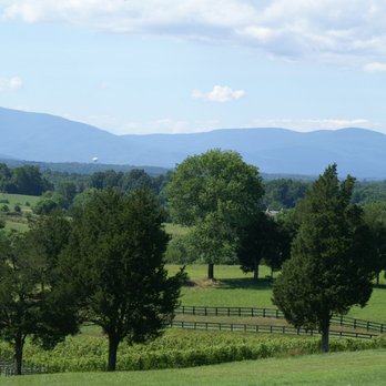 Five Oaks Vineyard - A Lovely View - Wineries Near Me - Barboursville, Virginia