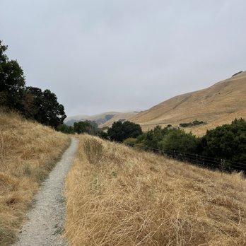 Martin Canyon Creek Trail - Hiking Near Me - Dublin, California