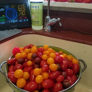 Vic Hannan Landscape Materials - Vic's organic soil grows great Cherry tomatoes. - Building Supplies Near Me - Anderson, California