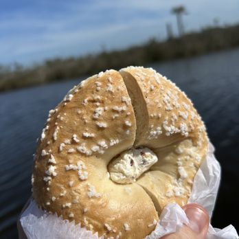 Bagels R US - Salt bagel - Bagels Near Me - Jacksonville, Florida Bagels R US - Salt bagel - Bagels Near Me - Jacksonville, Florida