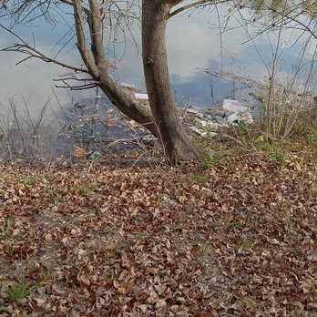 Arthur Storey Park - Lots of trash in the lake. - Parks Near Me - Houston, Texas