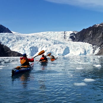 Kayak Adventures Worldwide - Guides head towards Holgate Glacier during guide training. - Rafting/Kayaking Near Me - Seward, Alaska Kayak Adventures Worldwide - Guides head towards Holgate Glacier during guide training. - Rafting/Kayaking Near Me - Seward, Alaska
