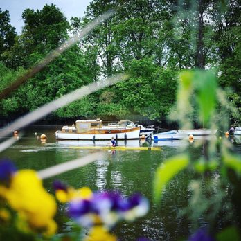 The White Swan - Rowers in the river Thames, viewed from the beer garden out front. - Pubs Near Me - Twickenham, XGL