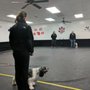 Photo of Obedience Tales Dog Training School