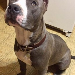 My boy Tex My boy Tex
