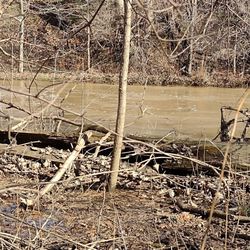 Goudy Park