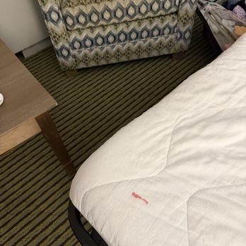 Quality Inn Oceanfront - Blood stain on mattress - Hotels Near Me - Ocean City, Maryland