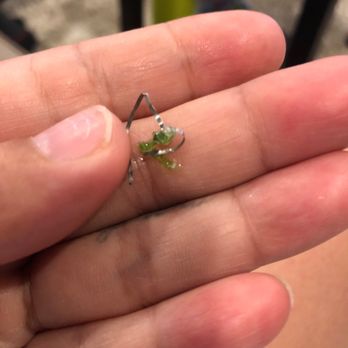 Fu Kee Restaurant - Piece of metal wire found in the wonton soup. - Chinese Near Me - San Jose, California