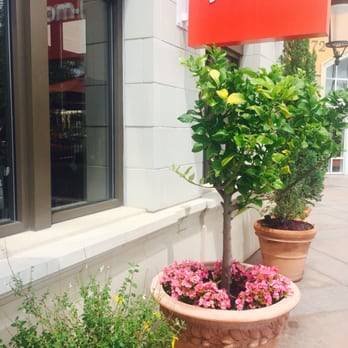TJ Maxx - Isn't it nice ;) - Department Stores Near Me - Chula Vista, California TJ Maxx - Isn't it nice ;) - Department Stores Near Me - Chula Vista, California
