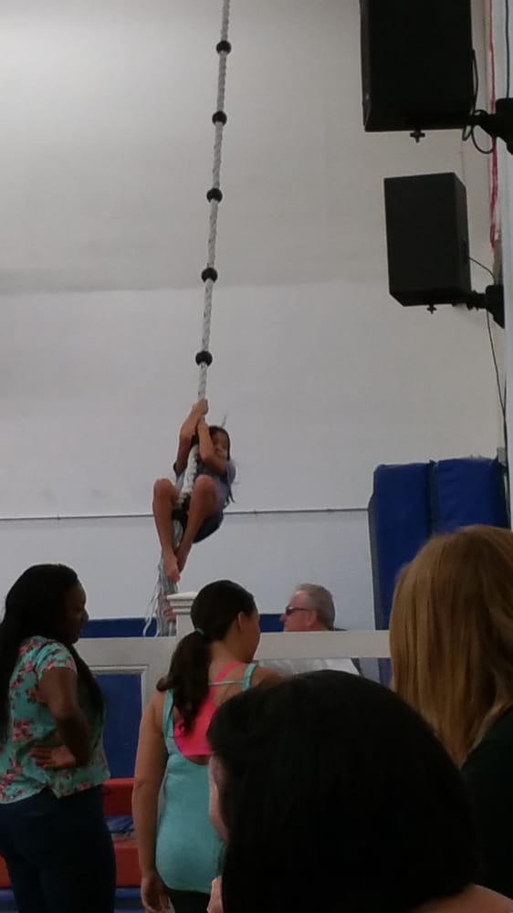 Elmwood Gymnastics Academy Logo