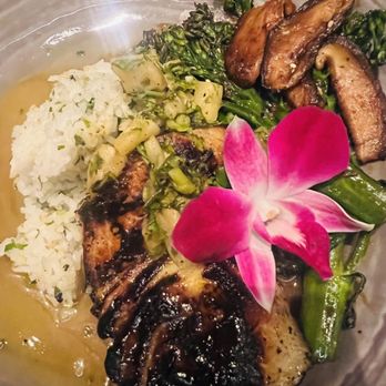 Duke's La Jolla - Special- Miso Halibut! Don't pass it up, it's so good! - New American Near Me - La Jolla, California Duke's La Jolla - Special- Miso Halibut! Don't pass it up, it's so good! - New American Near Me - La Jolla, California