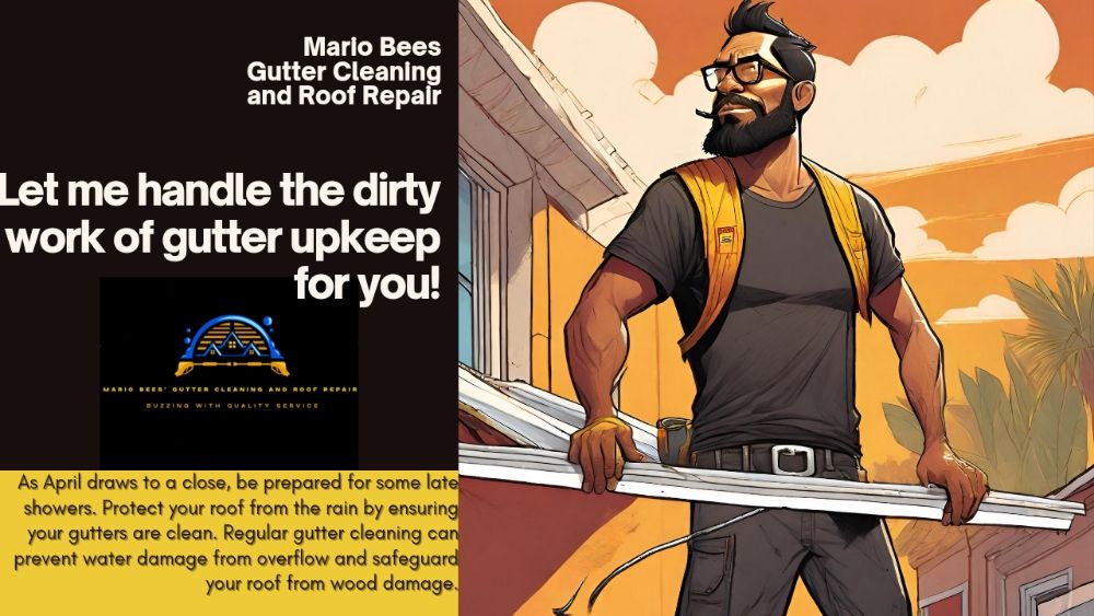 Slide of Mario Bees Gutter Cleaning and Roof Repair