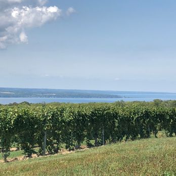 Screech Owl Tours - Seneca Lake & vineyards - Wine Tours Near Me