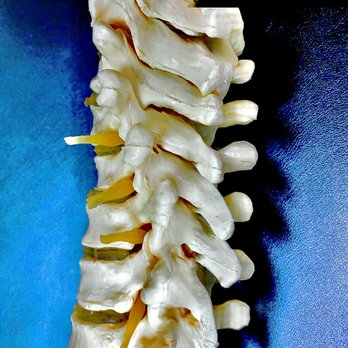 Cann Chiropractic Center - Chiropractors Near Me - Gilbert, Arizona Cann Chiropractic Center - Chiropractors Near Me - Gilbert, Arizona