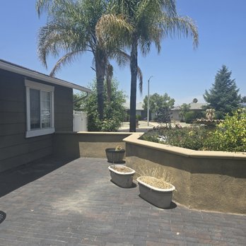 Diamond Tree Service - Before 3 - 2 to trim - Tree Services Near Me - Perris, California Diamond Tree Service - Before 3 - 2 to trim - Tree Services Near Me - Perris, California