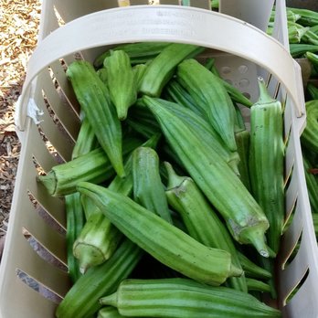 The Hines Garden - a basket of oklery - Farmers Market Near Me - Derwood, Maryland