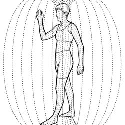 Paulette Coates - Essential Wellness - Energy Body