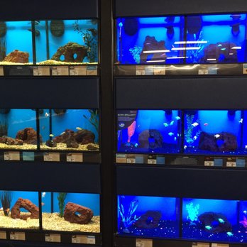 Petco - Your one stop shop for pet fish - Pet Stores Near Me - Mountain View, California