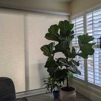 Van Go Blinds - Orange County - Customer roller shade on left and shutters on right. Complete upgrade! - Shades & Blinds Near Me
