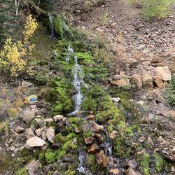 Highlander RV Campground