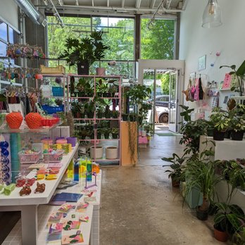 Alchemy Plants And Thrift - Looking back toward the entry - Thrift Stores Near Me - Portland, Oregon