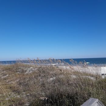 Huntington Beach State Park - Parks Near Me - Murrells Inlet, South Carolina