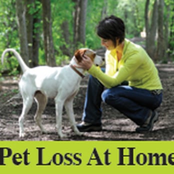 Pet Loss At Home - Home Euthanasia Vets - Veterinarians Near Me Pet Loss At Home - Home Euthanasia Vets - Veterinarians Near Me