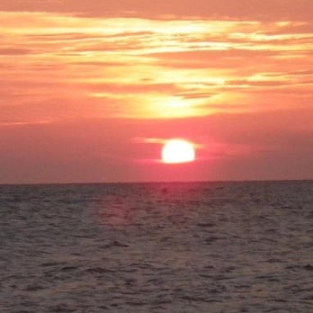 Gumbo Limbo - HH - Seafood Near Me - Naples, Florida