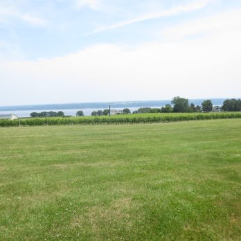 Thirsty Owl Wine Company - Wineries Near Me - Ovid, New York