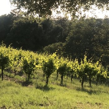 Story Winery - Wineries Near Me - Plymouth, California Story Winery - Wineries Near Me - Plymouth, California