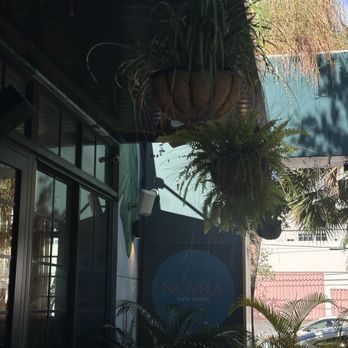 Novela Cafe Social - exterior - Breakfast & Brunch Near Me - Miami, Florida Novela Cafe Social - exterior - Breakfast & Brunch Near Me - Miami, Florida