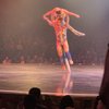 Volta by Cirque De Soleil gift card