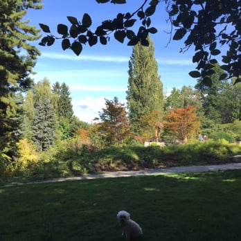 Kubota Garden - And dog friendly as long as they are on a leash - Botanical Gardens Near Me - Seattle, Washington Kubota Garden - And dog friendly as long as they are on a leash - Botanical Gardens Near Me - Seattle, Washington