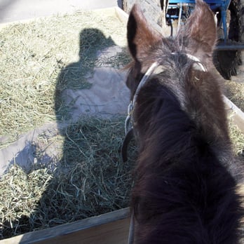 Echo Lake Stables - Horseback Riding Near Me - Newfoundland, New Jersey