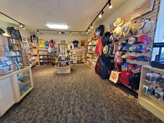 Petrified Forest National Wilderness Area by null