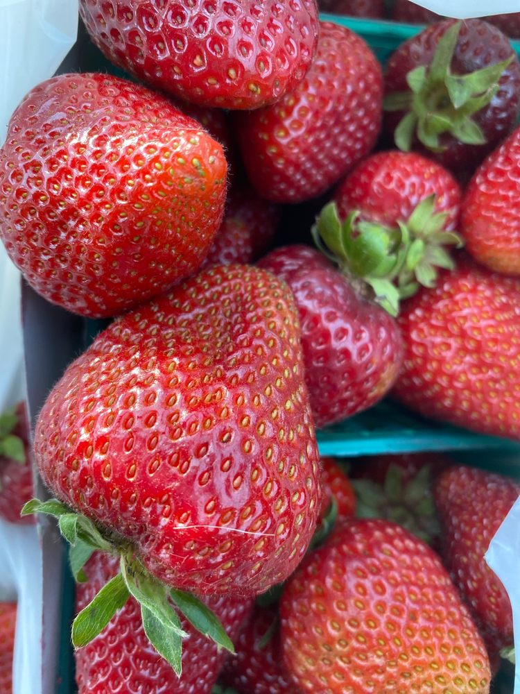 SAETERN FARM Updated June 2024 10769 E Hwy 120, Manteca, California