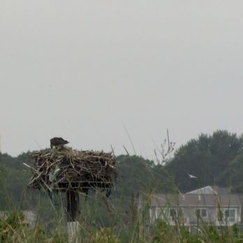 Seagull Beach - Beaches Near Me - West Yarmouth, Massachusetts