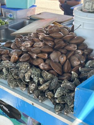 Mariscos el Coyote by null