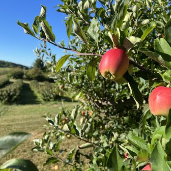 Douglas Orchards - Specialty Food Near Me - Shoreham, Vermont