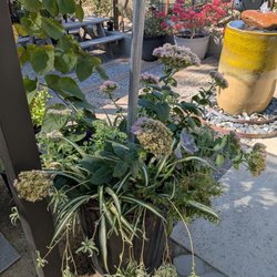 Plantable Nursery & Cafe