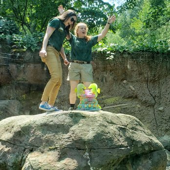 Philadelphia Zoo - Celebrating Pride with an Otter Ice cake! - Zoos Near Me - Philadelphia, Pennsylvania